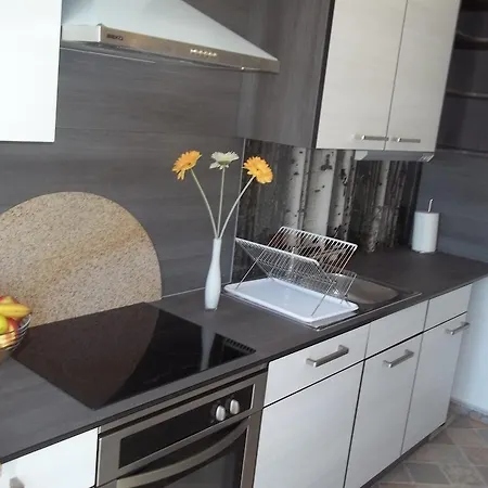 Apartment Silva